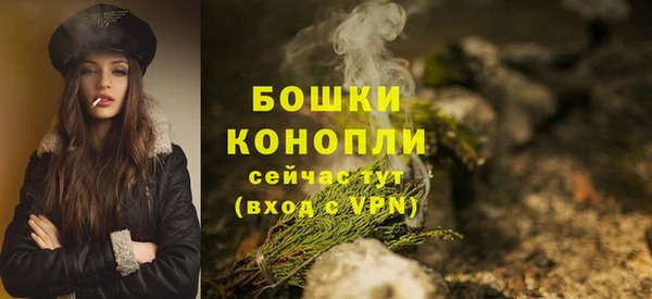 СК Мегион