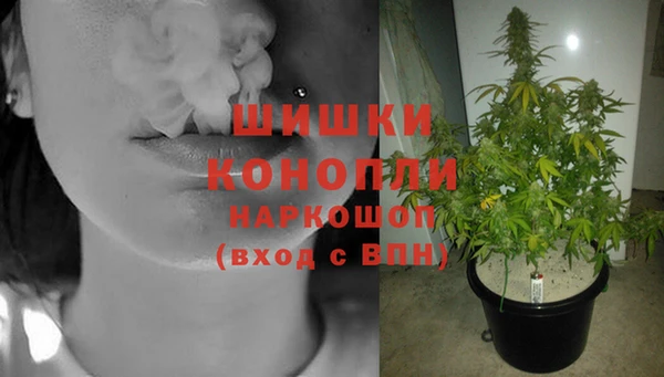 СК Мегион