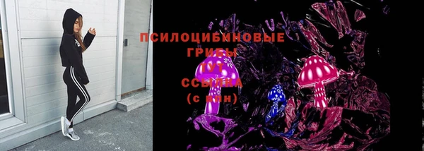 прущие крисы Медвежьегорск