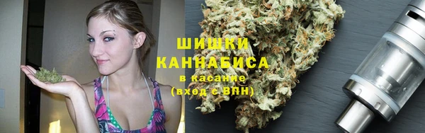 гашик Медногорск