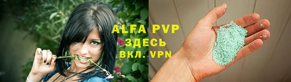 прущие крисы Медвежьегорск